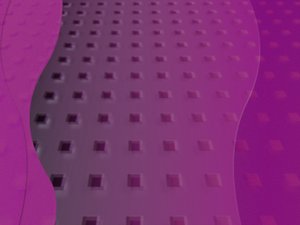 鳳城市洗護用品有限責任公司